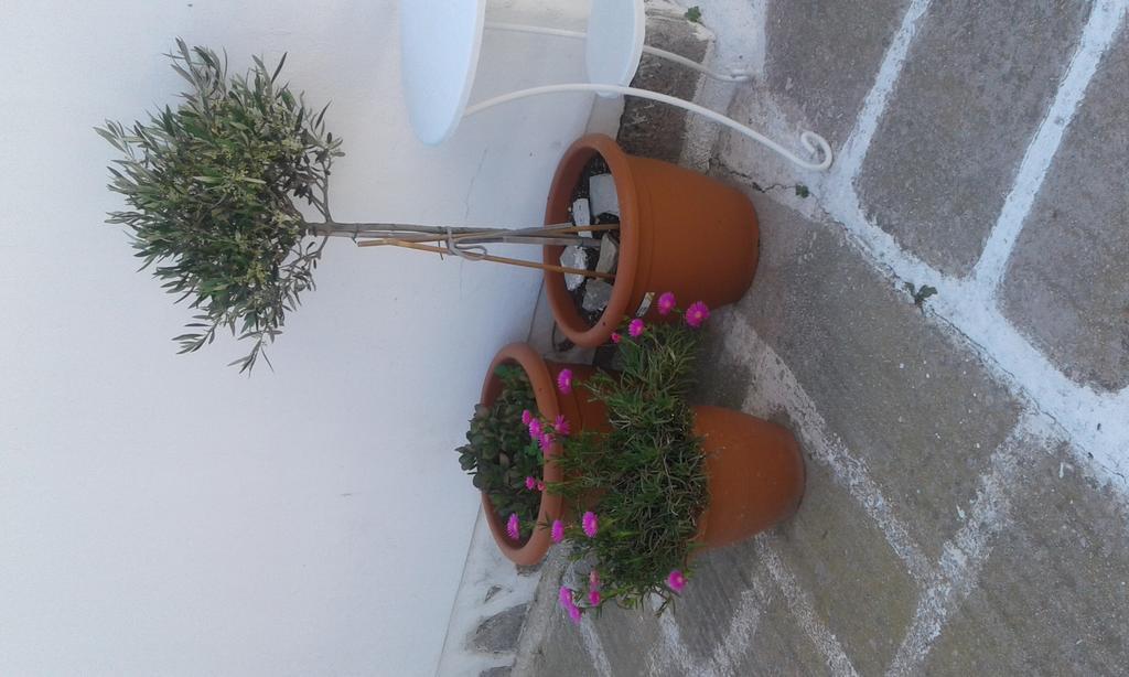 Angela'S Rooms Mykonos Town Exterior photo